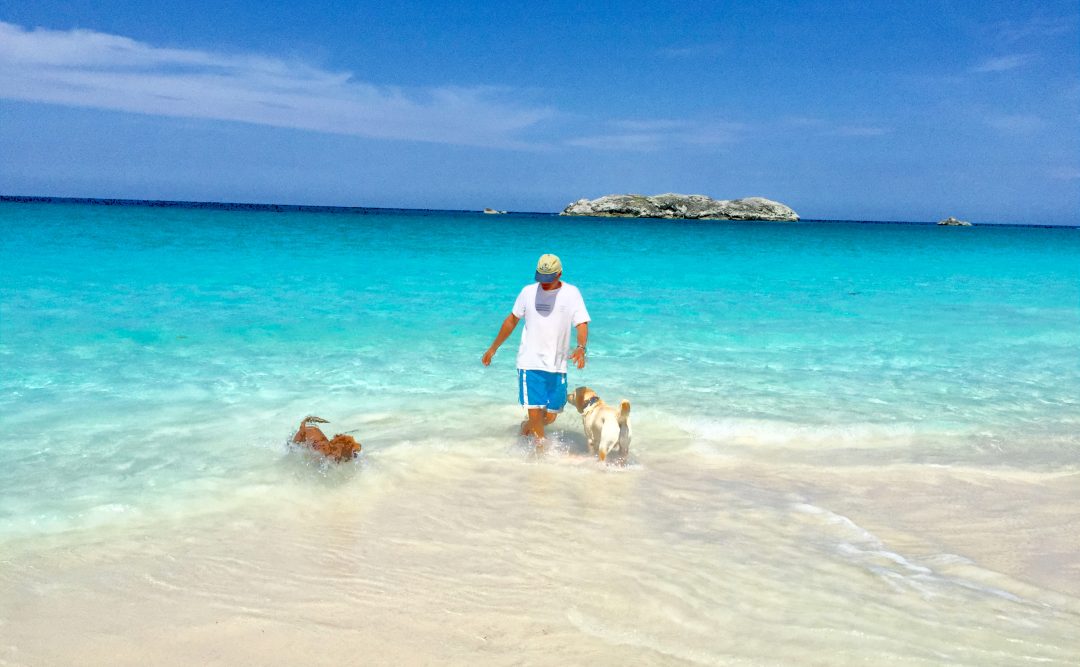 reason to love Compass Cay - A beautiful beach with a man and two dogs