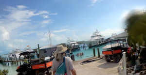 boats and sharks in a small harbor, reason to love Compass Cay
